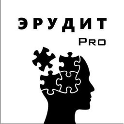 Эрудит Про